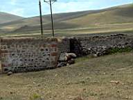 226Birkak bujnak.JPG